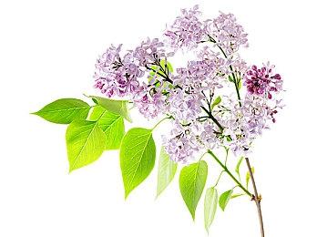 Switch2发售未满一周 首例摇杆漂移问题已确认